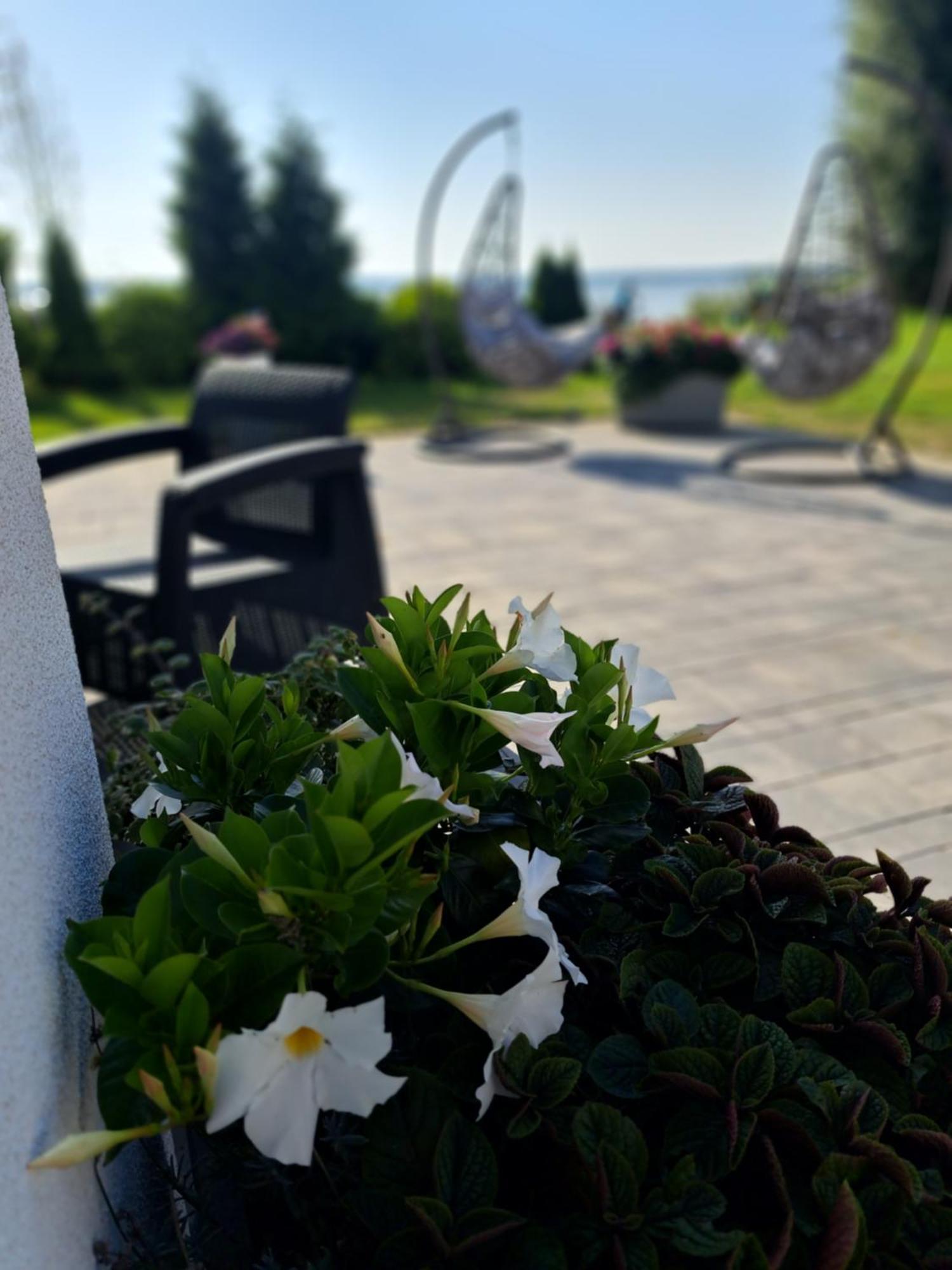 Solek Apartamenty I Pokoje Goscinne Mielno  Kültér fotó
